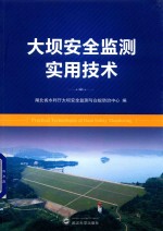 大坝安全监测实用技术