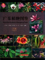 广东植物图鉴 下