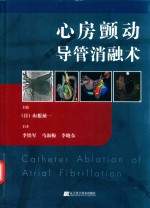 心房颤动导管消融术
