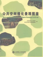 景观与建筑设计系列 公共空间绿化景观图鉴