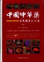 中国中草药彩色图鉴大全集 上
