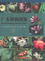 广东植物图鉴 上