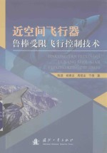 近空间飞行器鲁棒受限飞行控制技术