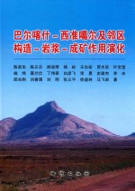 巴尔喀什 西准噶尔及邻区构造 岩浆 成矿作用演化