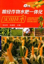 粮经作物水肥一体化实用技术