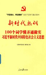不忘初心牢记使命重点图书 新时代热词 100个词学懂弄通做实习近平新时代中国特色社会主义思想