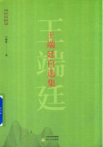 中国当代艺术批评文库 王端廷自选集
