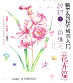新手色铅笔绘画入门 教程+上色练习 花卉篇