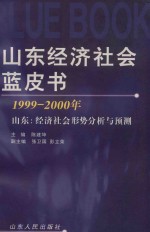 山东经济社会蓝皮书 1999-2000年 山东:经济社会形势分析与预测
