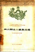 四川群众小说散文选