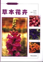 草本花卉