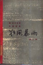 狂风暴雨 第2部
