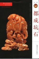 名贵石种 都成坑石