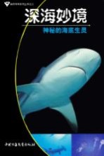 深海妙境 神秘的海底生灵