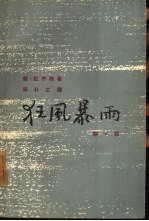 狂风暴雨 第1部