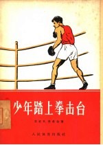 少年踏上拳击台
