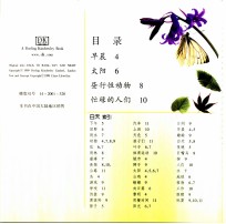 黑夜