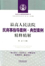 最高人民法院民商事指导案例 典型案例精释精解