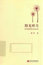 阳光碎片