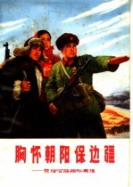 胸怀朝阳保边疆:赞珍宝岛战斗英雄