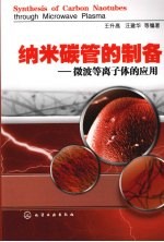 纳米碳管的制备 微波等离子体的应用