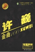 许巍金曲100