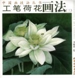 工笔荷花画法 3