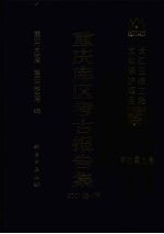 重庆库区考古报告集 2001卷 下
