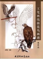 工笔画线描花鸟画谱 鹰隼篇