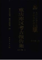 重庆库区考古报告集 2001卷 上