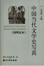 中国当代文学史写真  简明读本