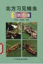 北方习见蝗虫彩色图谱