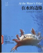在水的边缘 生命的进化与演变