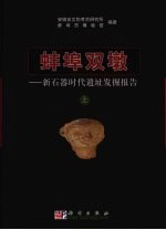 蚌埠双墩 新石器时代遗址发掘报告 上下
