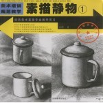 美术培训规范教学 素描静物1 第2版