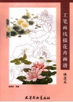 工笔画线描花卉画谱 睡莲篇