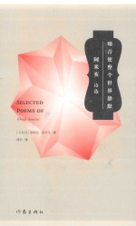 噪音使整个世界静默 耶胡达·阿米亥诗选
