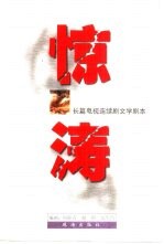 惊涛 长篇电视连续剧文学剧本