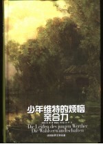少年维特的烦恼 亲合力