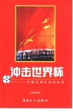 冲击世界杯 2001·中国足球队出线实录