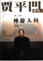 贾平凹前传：神游人间 第3卷
