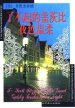 了不起的盖茨比 夜色温柔