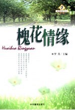 槐花情缘