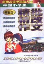 新概念金奖写作大全 小学本 精批精改精品屋