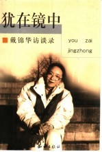 犹在镜中 戴锦华访谈录