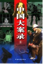 中国大案录 1