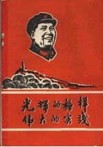光辉的榜样 伟大的实践
