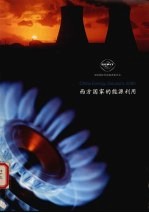 西方国家的能源利用 2000