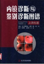 内镜诊断与鉴别诊断图谱 上消化道