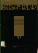 当代中国农村法律发展道路探索